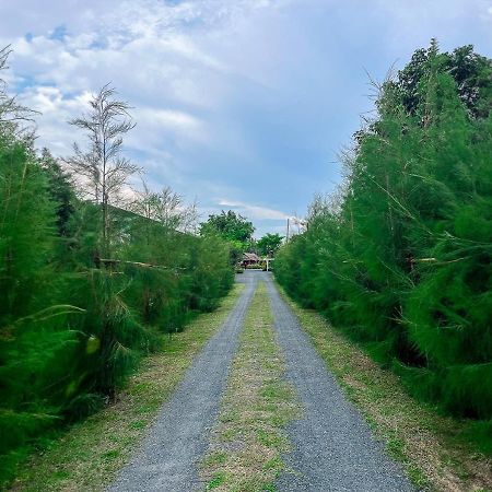 North Pine Forest Homestay บ้านไม้สนโฮมสเตย์ Ban Mae Pong Εξωτερικό φωτογραφία