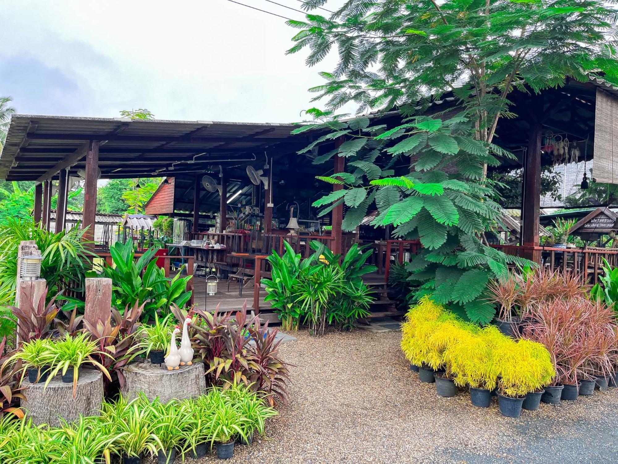 North Pine Forest Homestay บ้านไม้สนโฮมสเตย์ Ban Mae Pong Εξωτερικό φωτογραφία