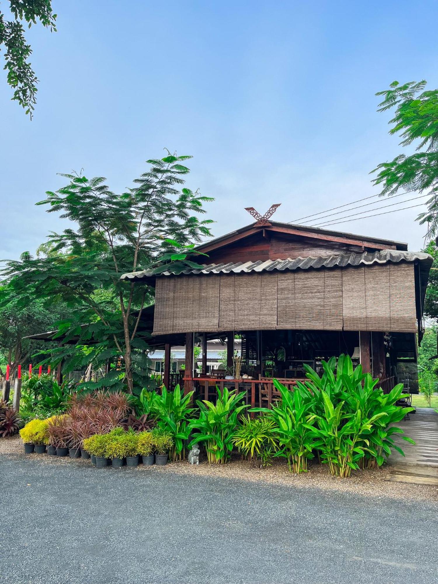 North Pine Forest Homestay บ้านไม้สนโฮมสเตย์ Ban Mae Pong Εξωτερικό φωτογραφία