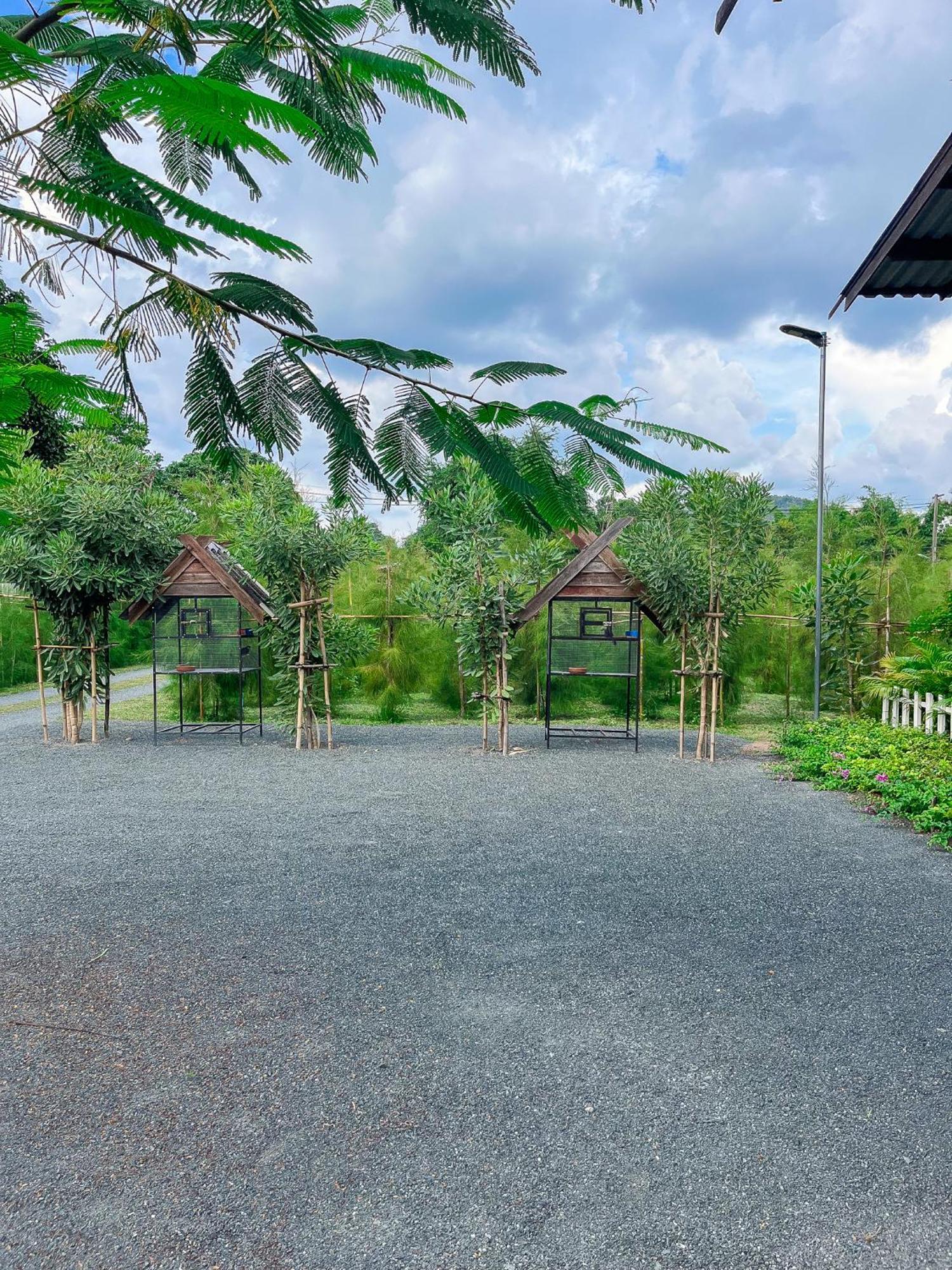 North Pine Forest Homestay บ้านไม้สนโฮมสเตย์ Ban Mae Pong Εξωτερικό φωτογραφία