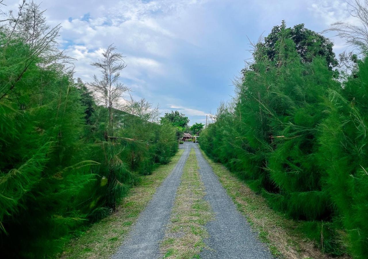 North Pine Forest Homestay บ้านไม้สนโฮมสเตย์ Ban Mae Pong Εξωτερικό φωτογραφία
