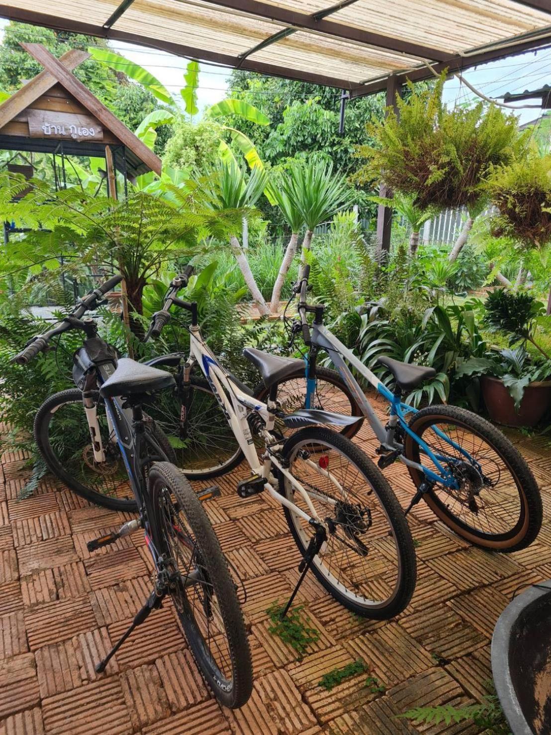 North Pine Forest Homestay บ้านไม้สนโฮมสเตย์ Ban Mae Pong Εξωτερικό φωτογραφία